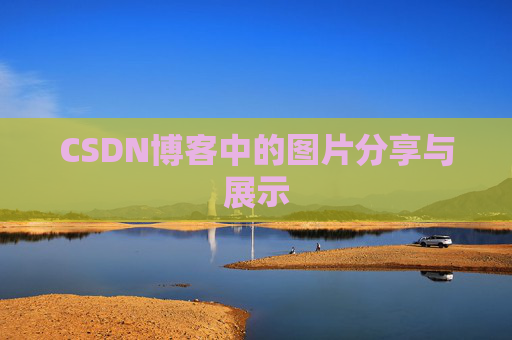 CSDN博客中的图片分享与展示